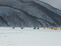 秋元湖 ワカサギ釣りポータル 全国のわかさぎ釣り情報 秋元湖 ワカサギ釣りポータル 全国のわかさぎ釣り情報