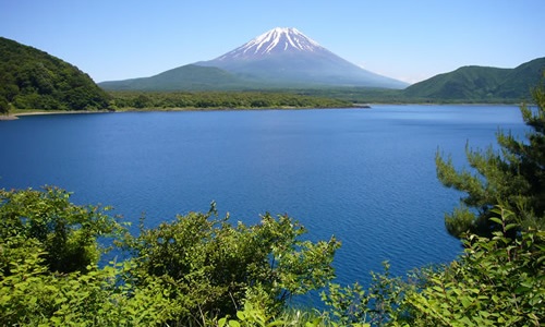 本栖湖 ワカサギ釣りポータル 全国のわかさぎ釣り情報 本栖湖 ワカサギ釣りポータル 全国のわかさぎ釣り情報