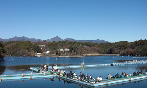 鳴沢湖 ワカサギ釣りポータル 全国のわかさぎ釣り情報 鳴沢湖 ワカサギ釣りポータル 全国のわかさぎ釣り情報