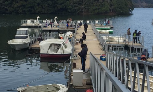 豊田湖 ワカサギ釣りポータル 全国のわかさぎ釣り情報 豊田湖 ワカサギ釣りポータル 全国のわかさぎ釣り情報